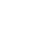 Undergraduate