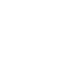 Undergraduate