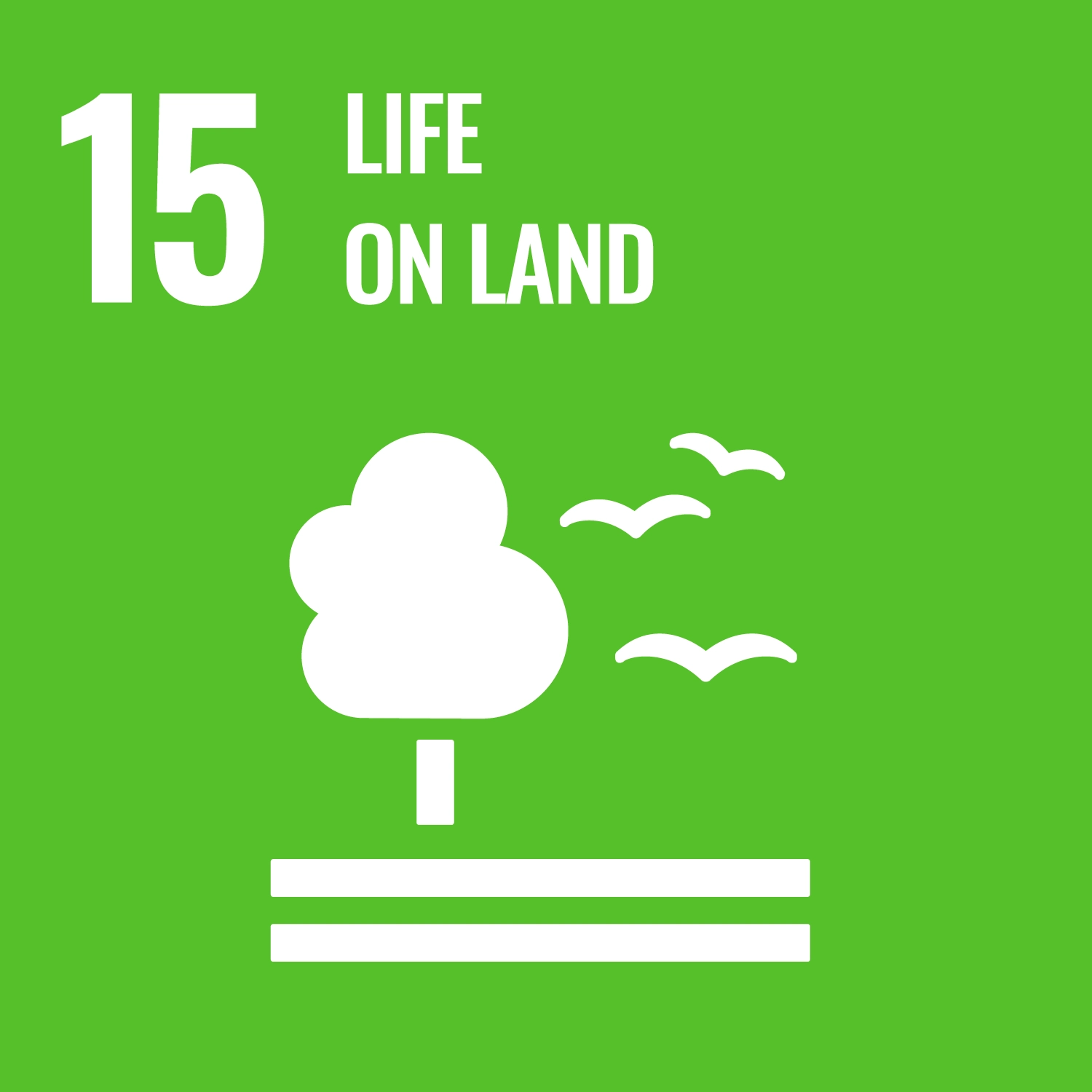 uudoon